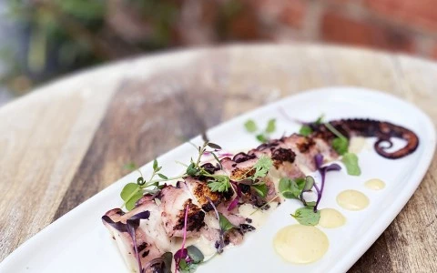 Octopus dish served in the table