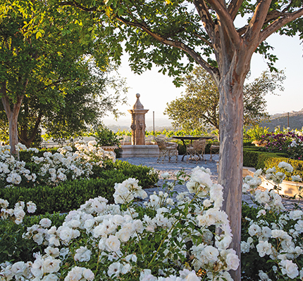 a garden with white flowers and trees