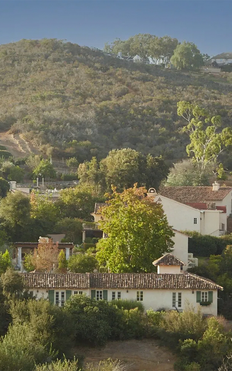 a group of houses with trees in the background
