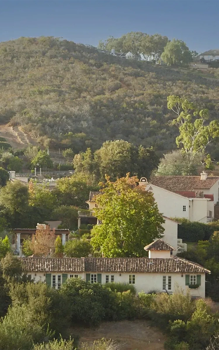 a group of houses with trees in the background