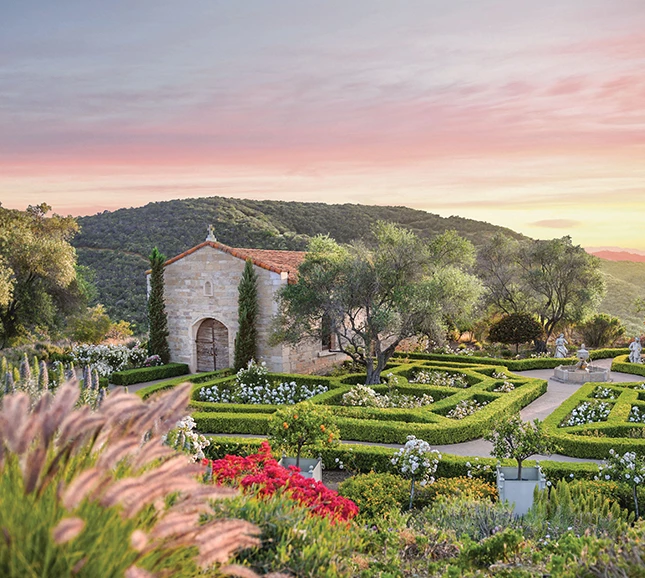a garden with a building and bushes