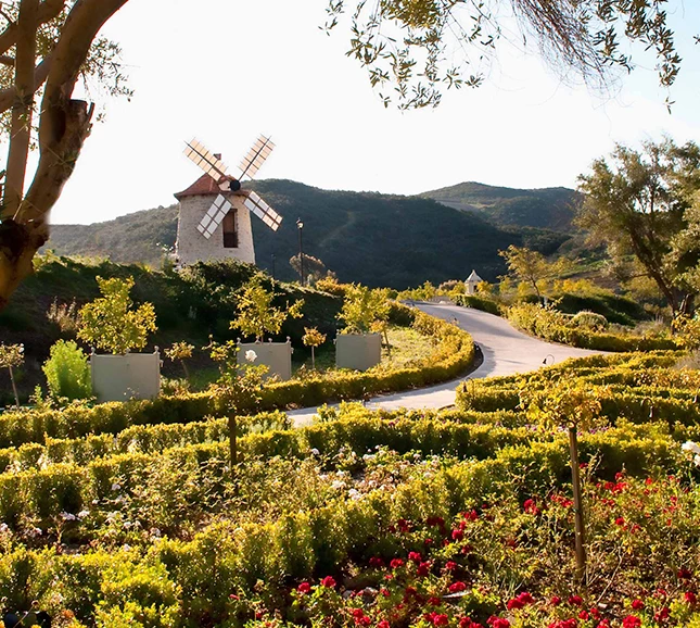 a windmill in a garden