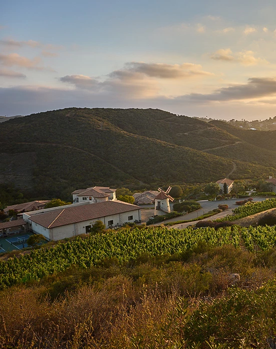 a landscape with a hill and houses