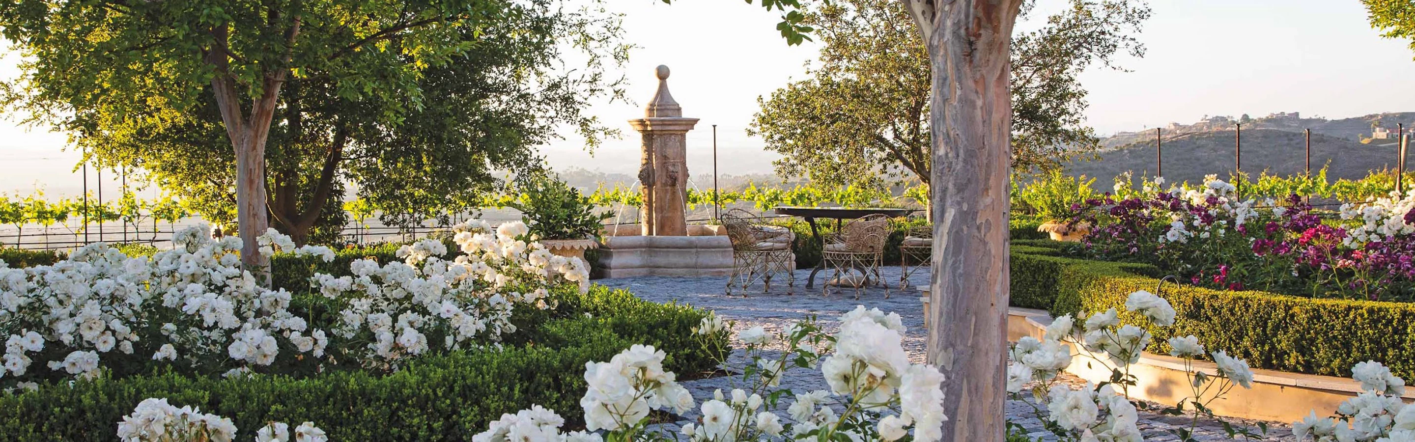 a garden with flowers and a fountain