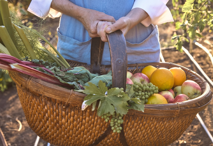 a person holding a basket of fruit
