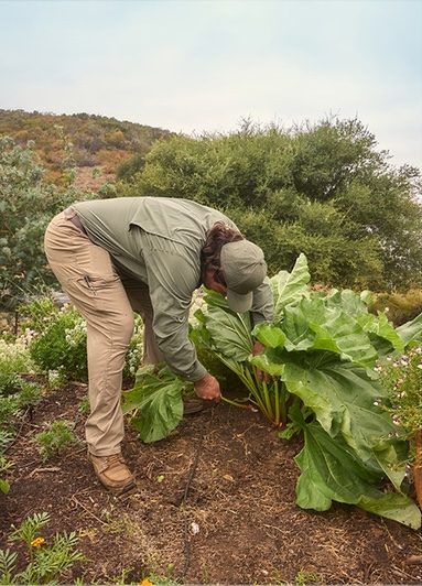a man in a garden