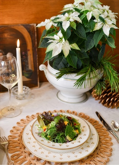 a plate of salad and a plant on a table