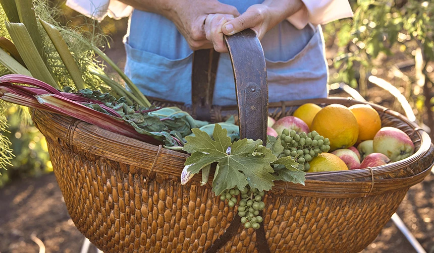 a person holding a basket full of fruits
