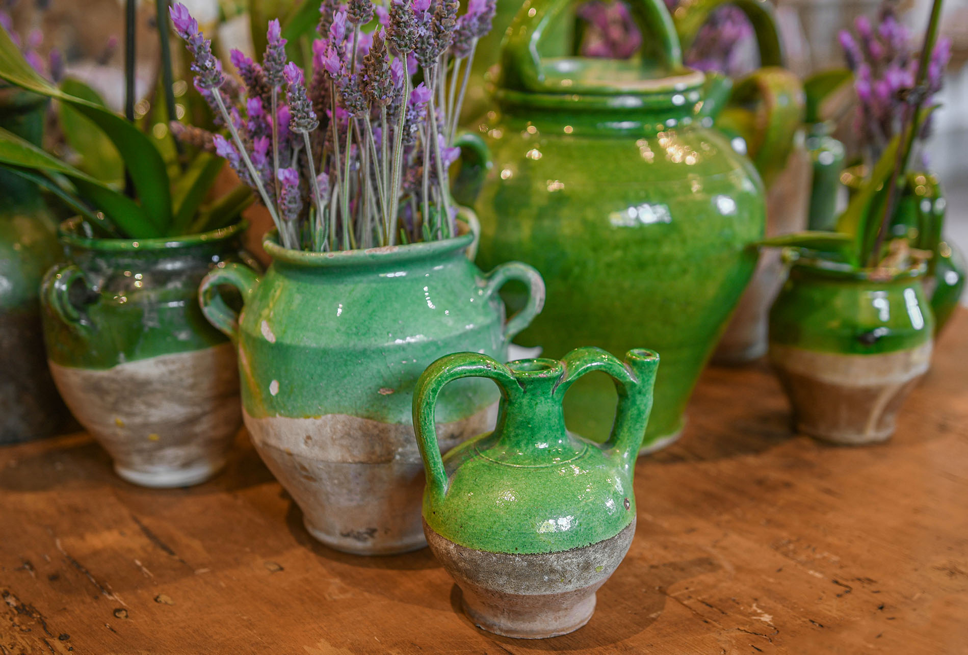 confit green pots_web