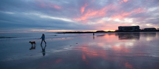 a person walking on a beach