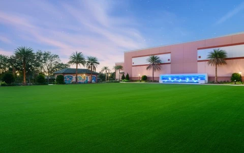a large green lawn with palm trees and a building