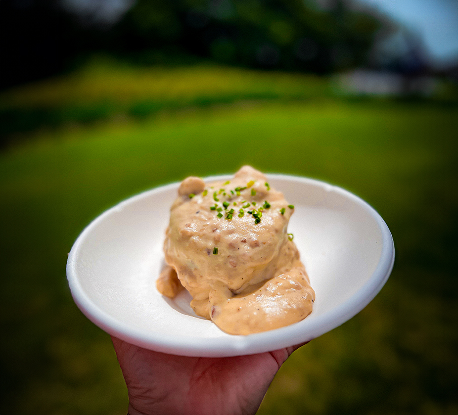 a hand holding a plate of food