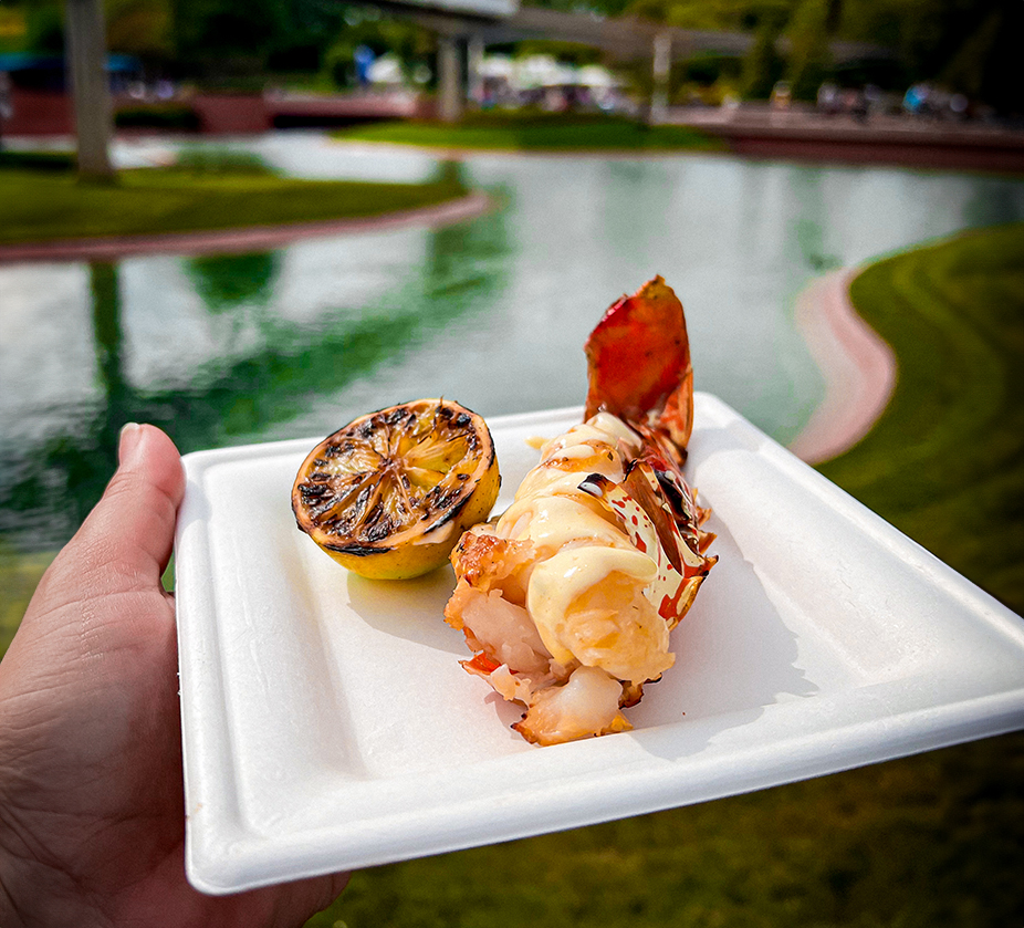 a hand holding a plate of food