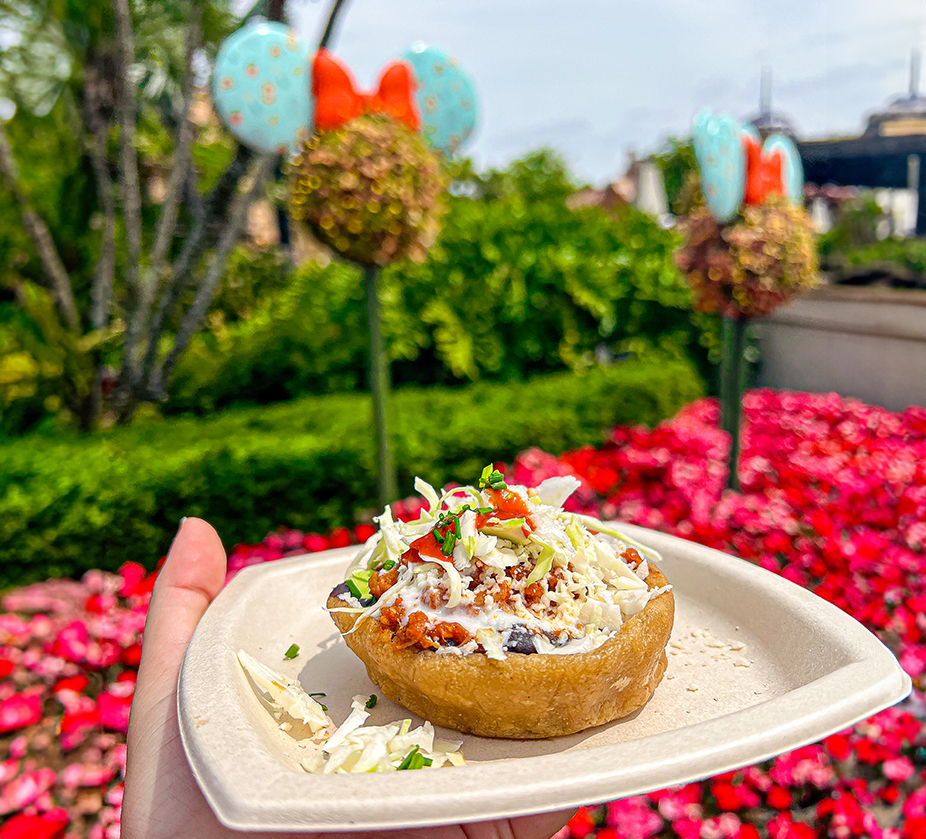 a hand holding a plate of food