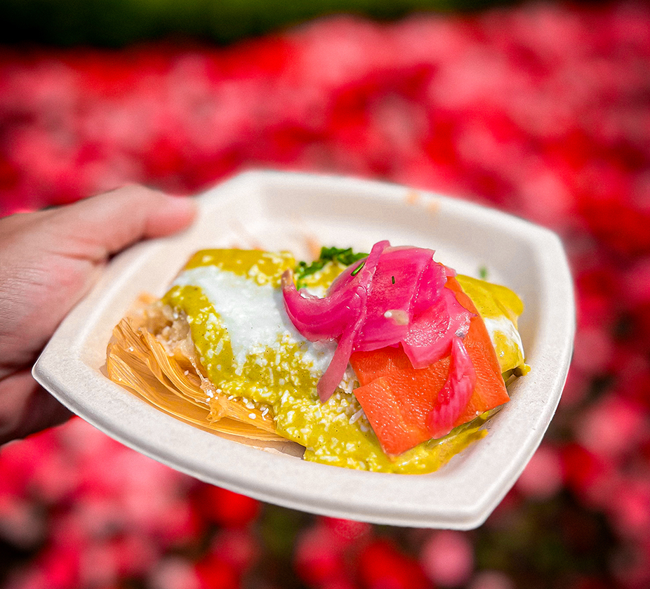 a hand holding a plate of food