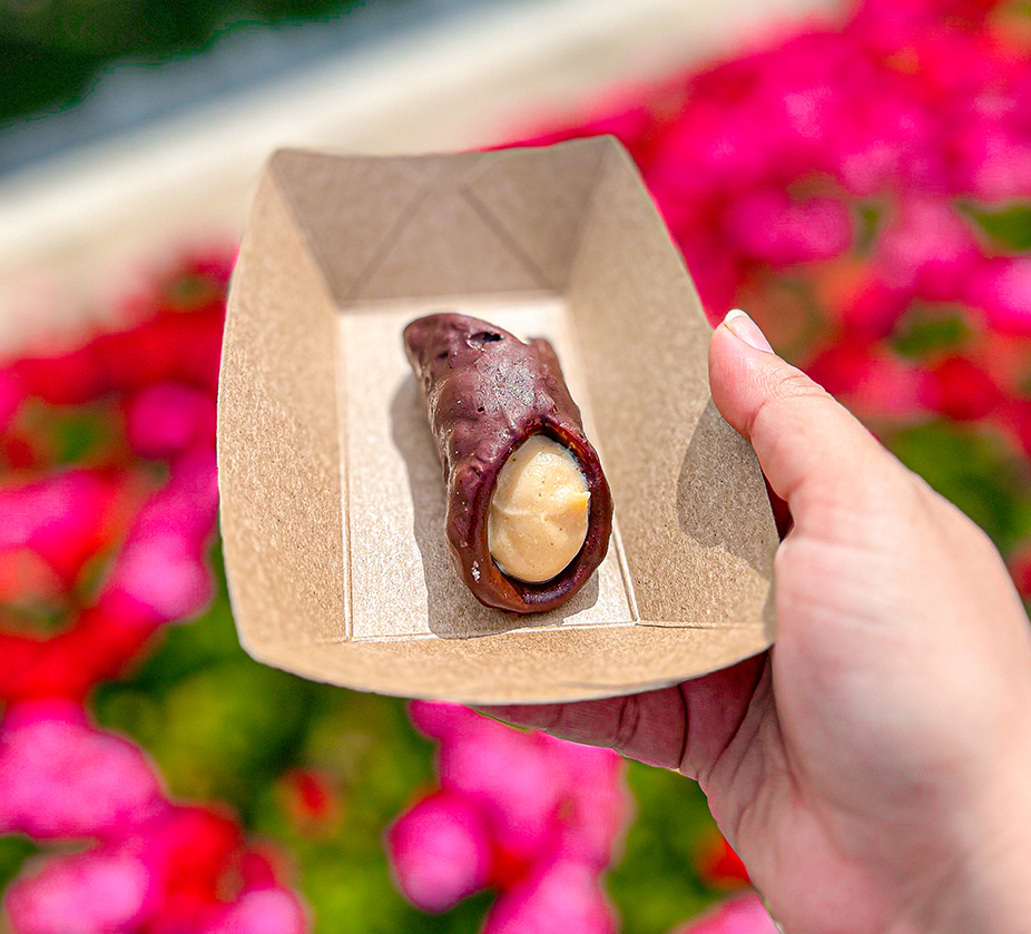 a hand holding a brown and white food item