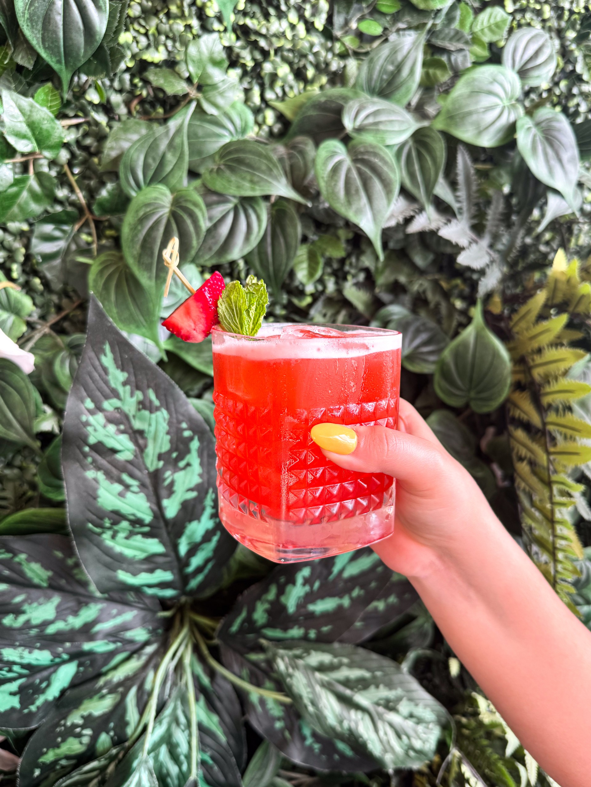 a hand holding a drink