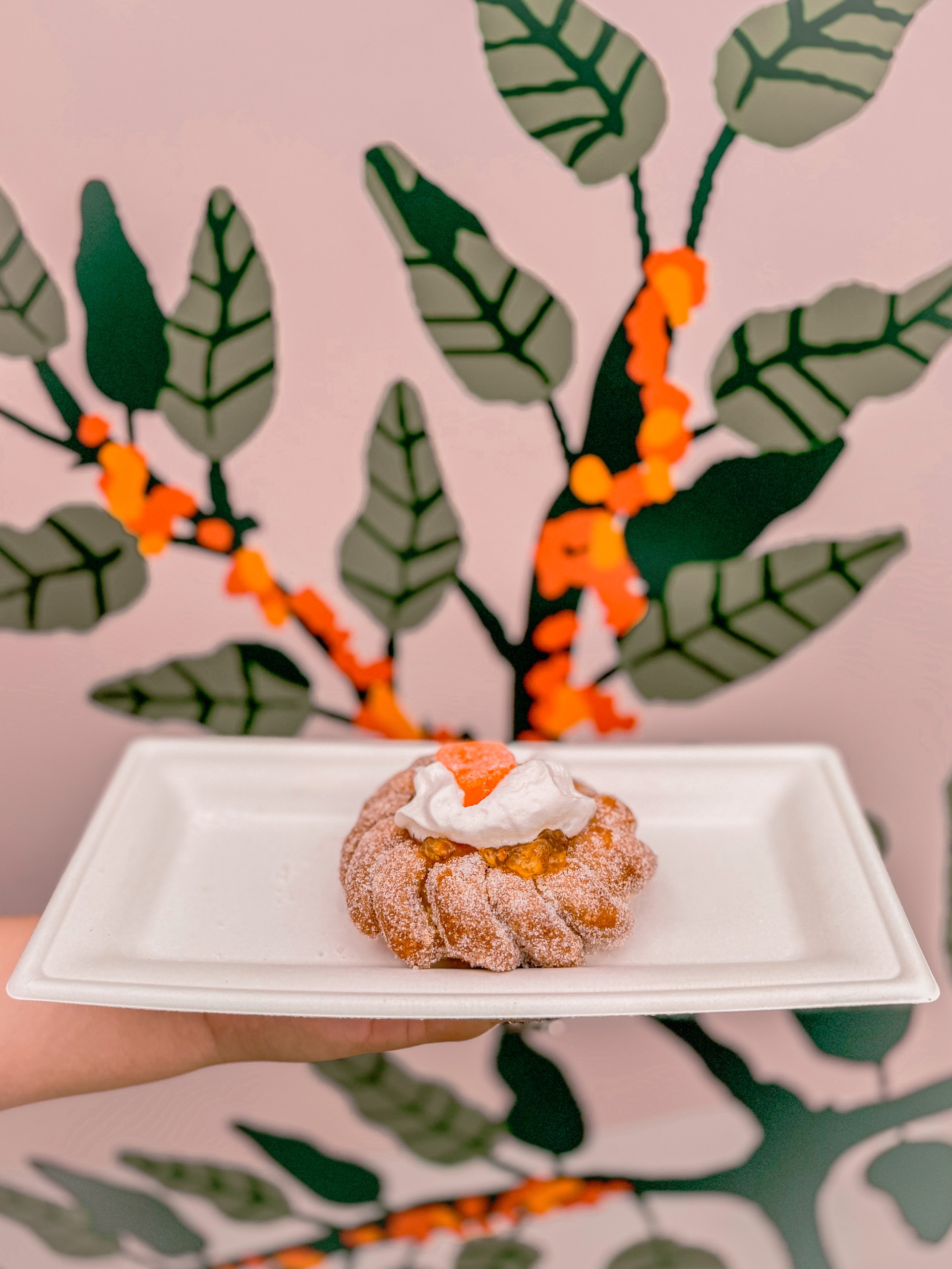 a hand holding a plate of food
