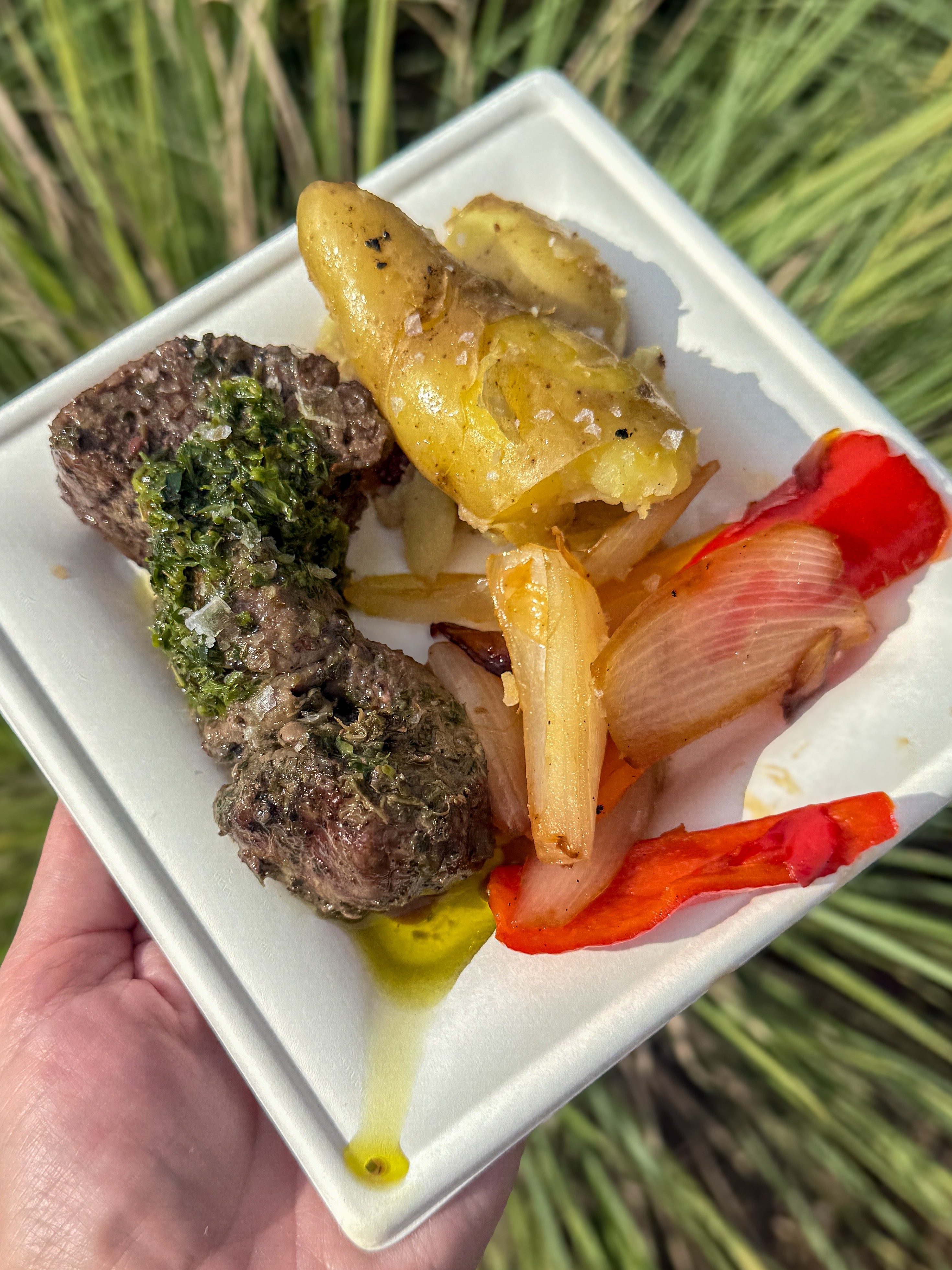 a plate of food in a hand