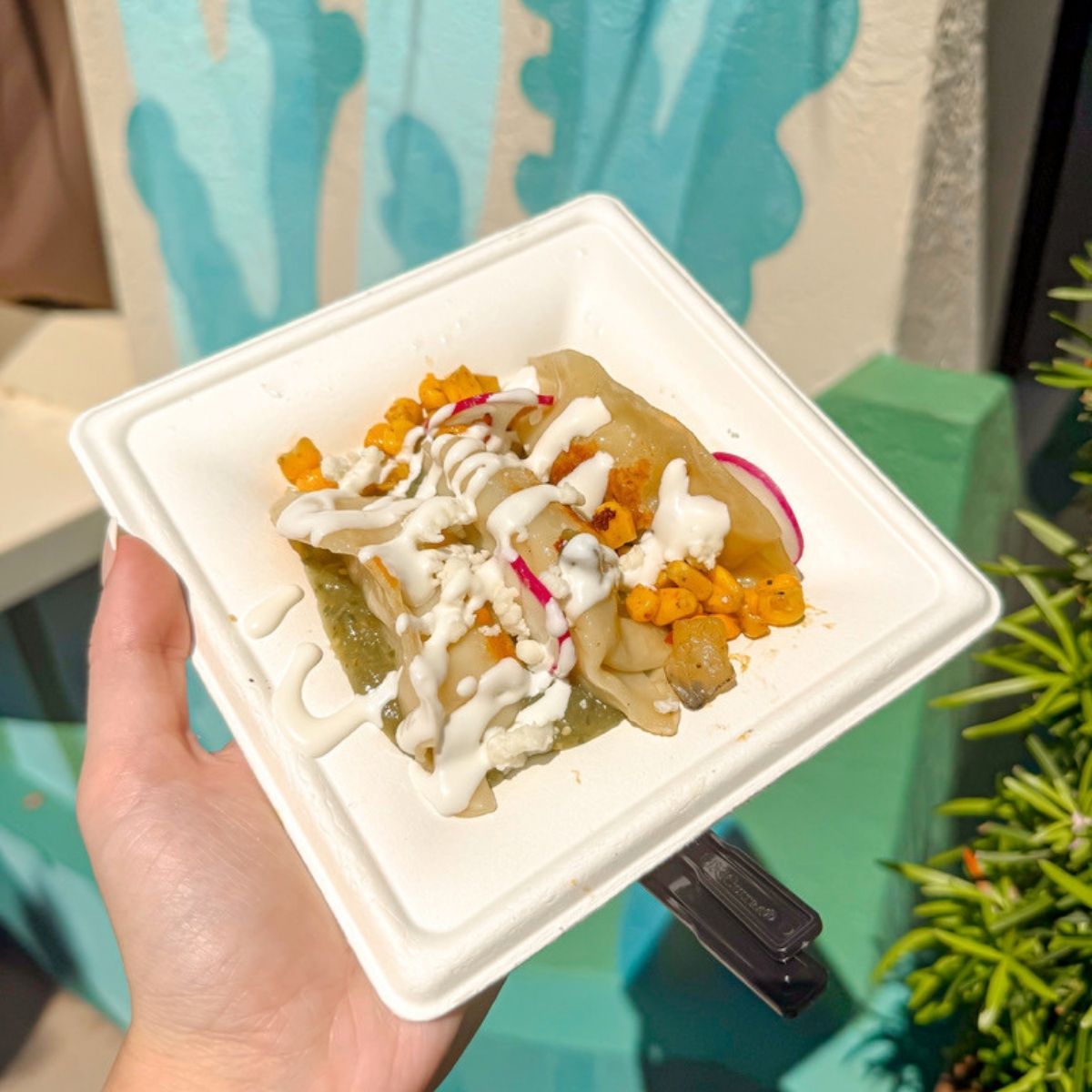a hand holding a plate of food