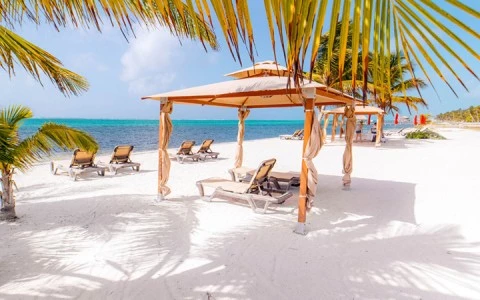 a beach with chairs and umbrellas