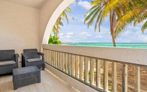 a deck with chairs and a palm tree on the side