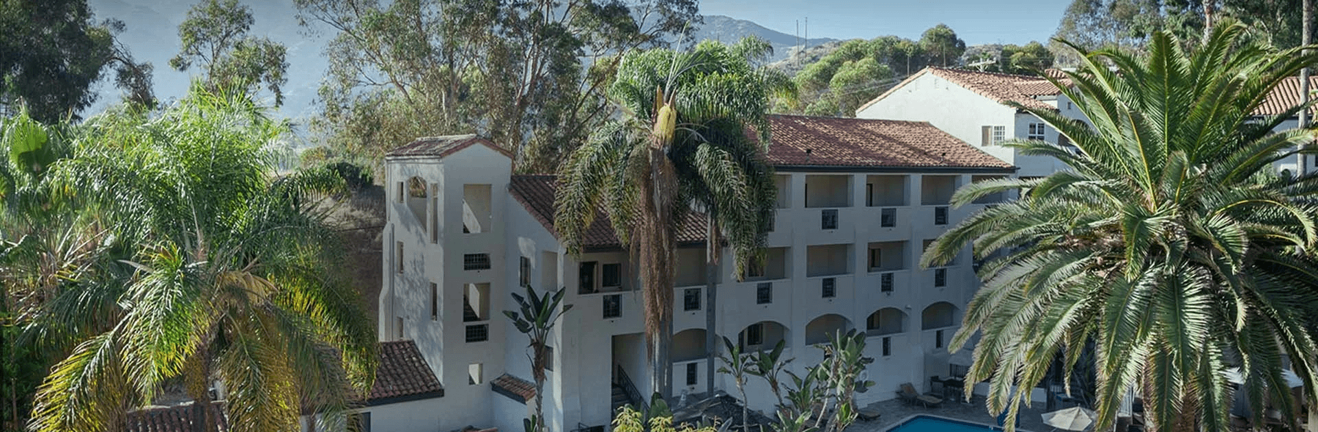 a palm tree in front of a building
