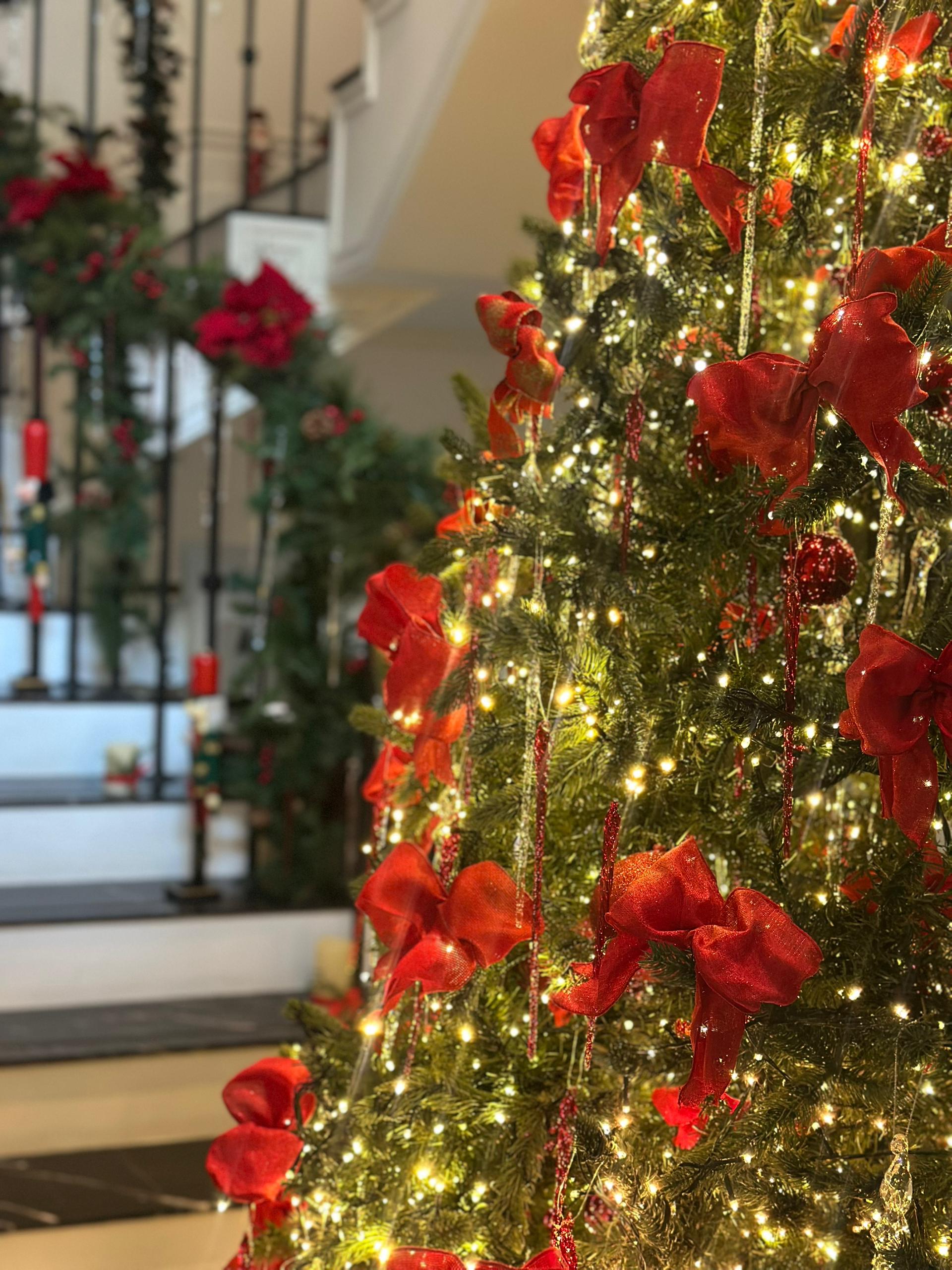 a christmas tree with lights and red bows