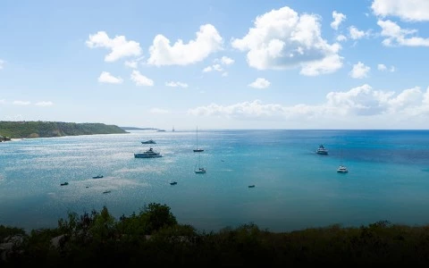 boats in the water with boats