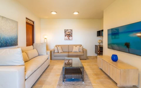 a living room with couches and a tv