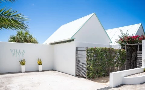 a white house with a fence and plants