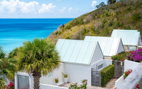 a house with a fence and palm trees on a hill with a body of water
