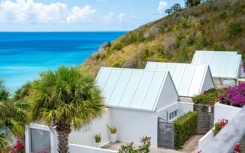 a house with a fence and palm trees on a hill with a body of water