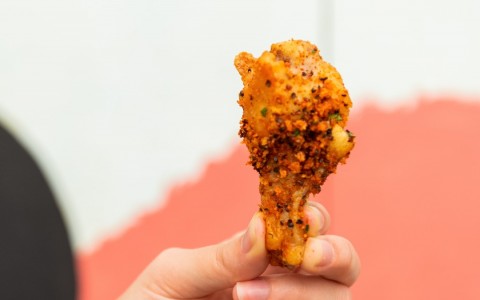 Hand holding a singular peppered chicken wing