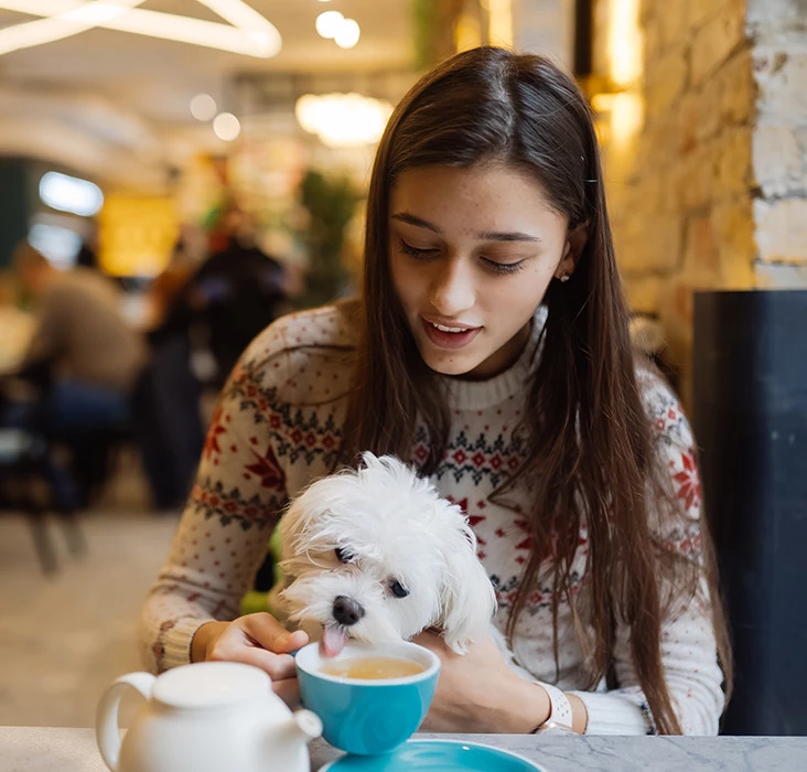 chateauonthelakeresort dogfriendly dogfriendlyrestaurants