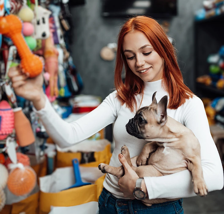 chateauonthelakeresort dogfriendly petstore