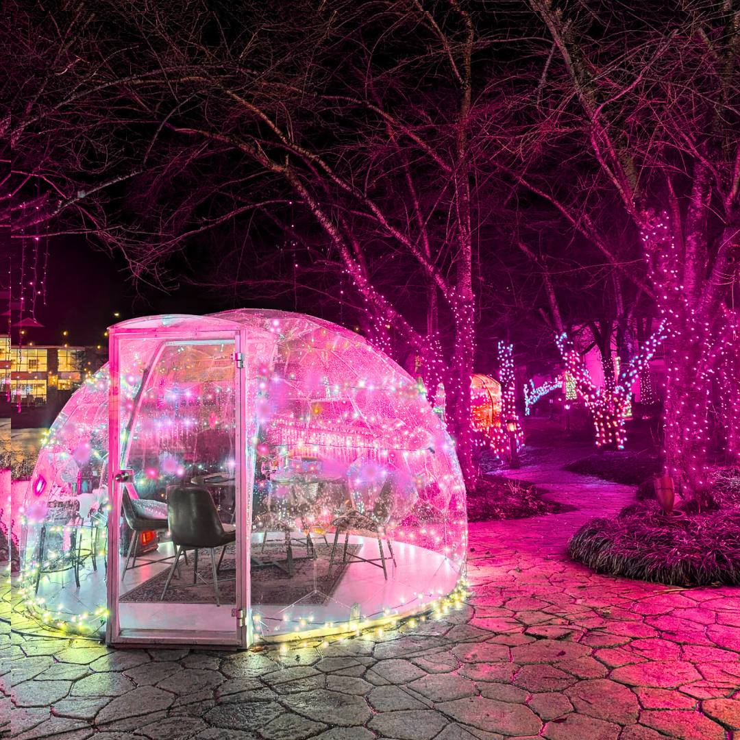 a glass dome with lights around it