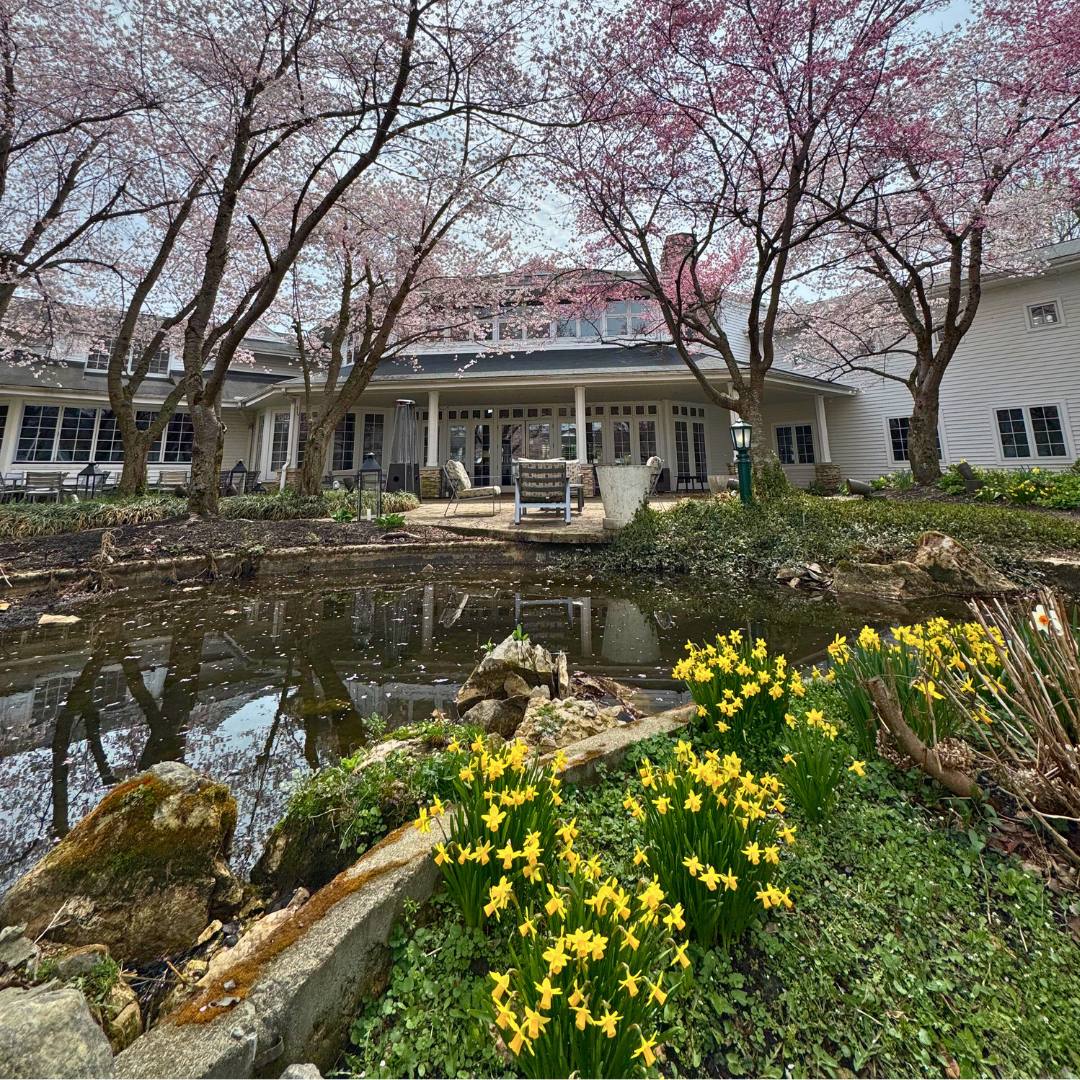 a building with a pond and trees