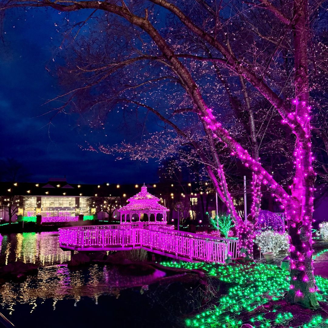 cherry valley hotel gazebo at blooms and bulbs