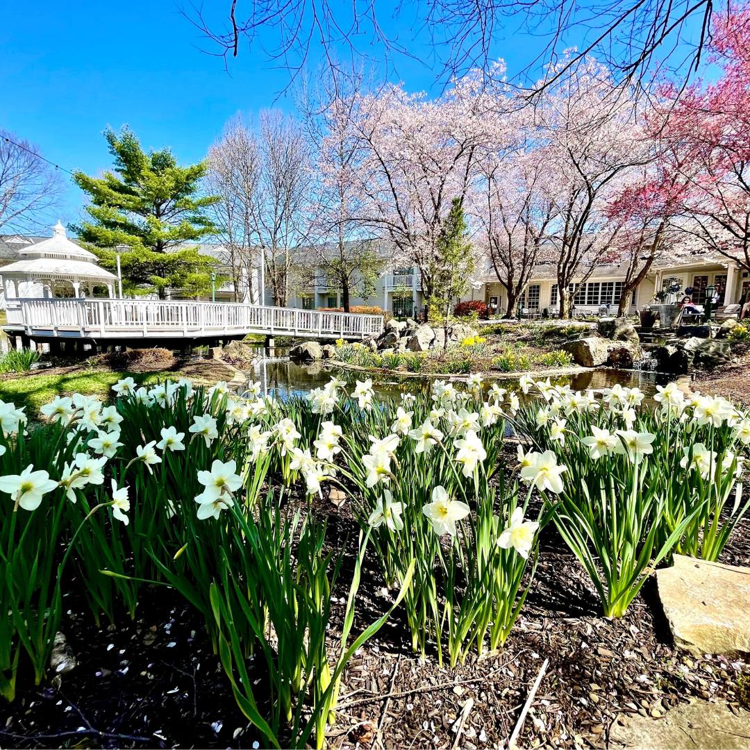a garden with flowers and a bridge