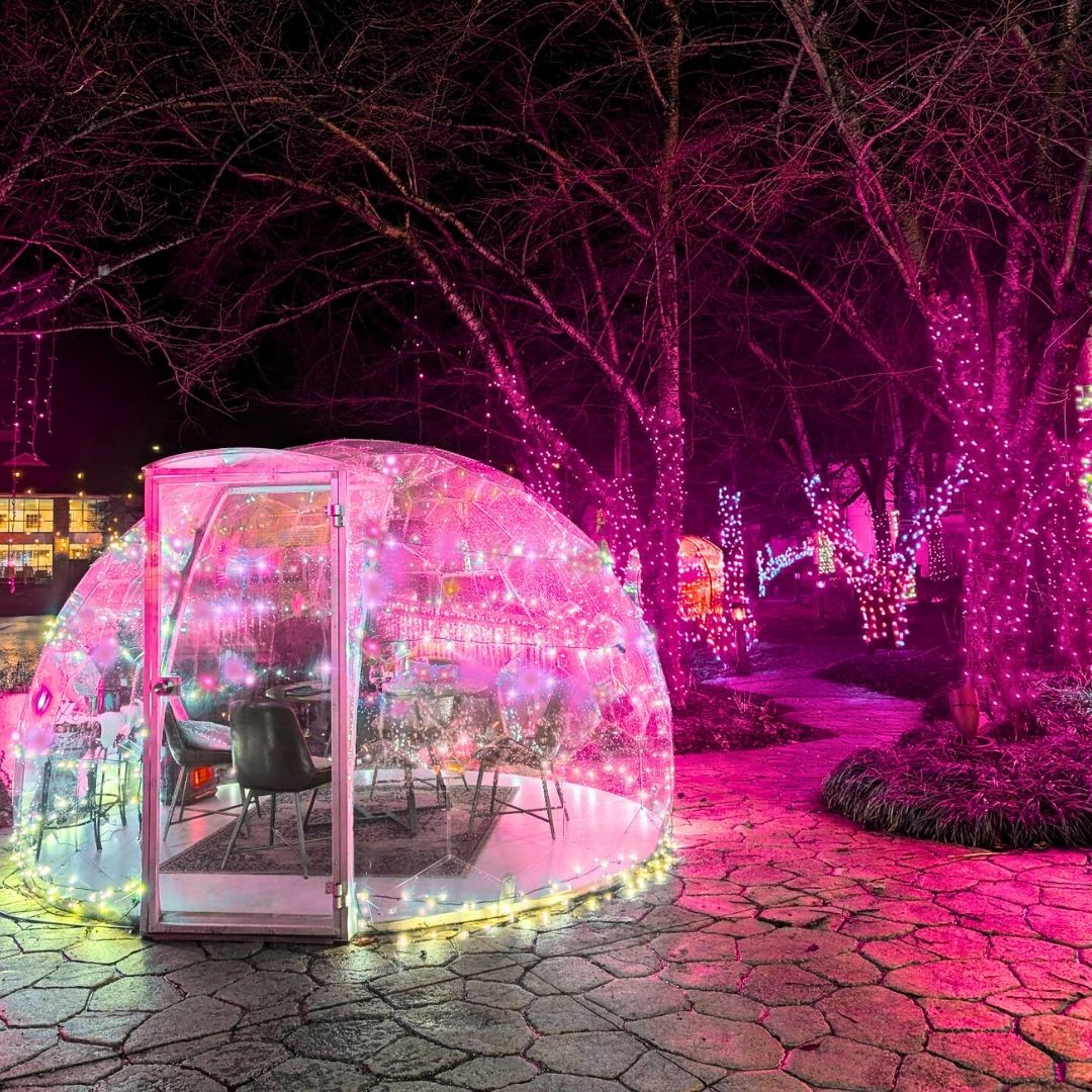 a glass dome with lights around it