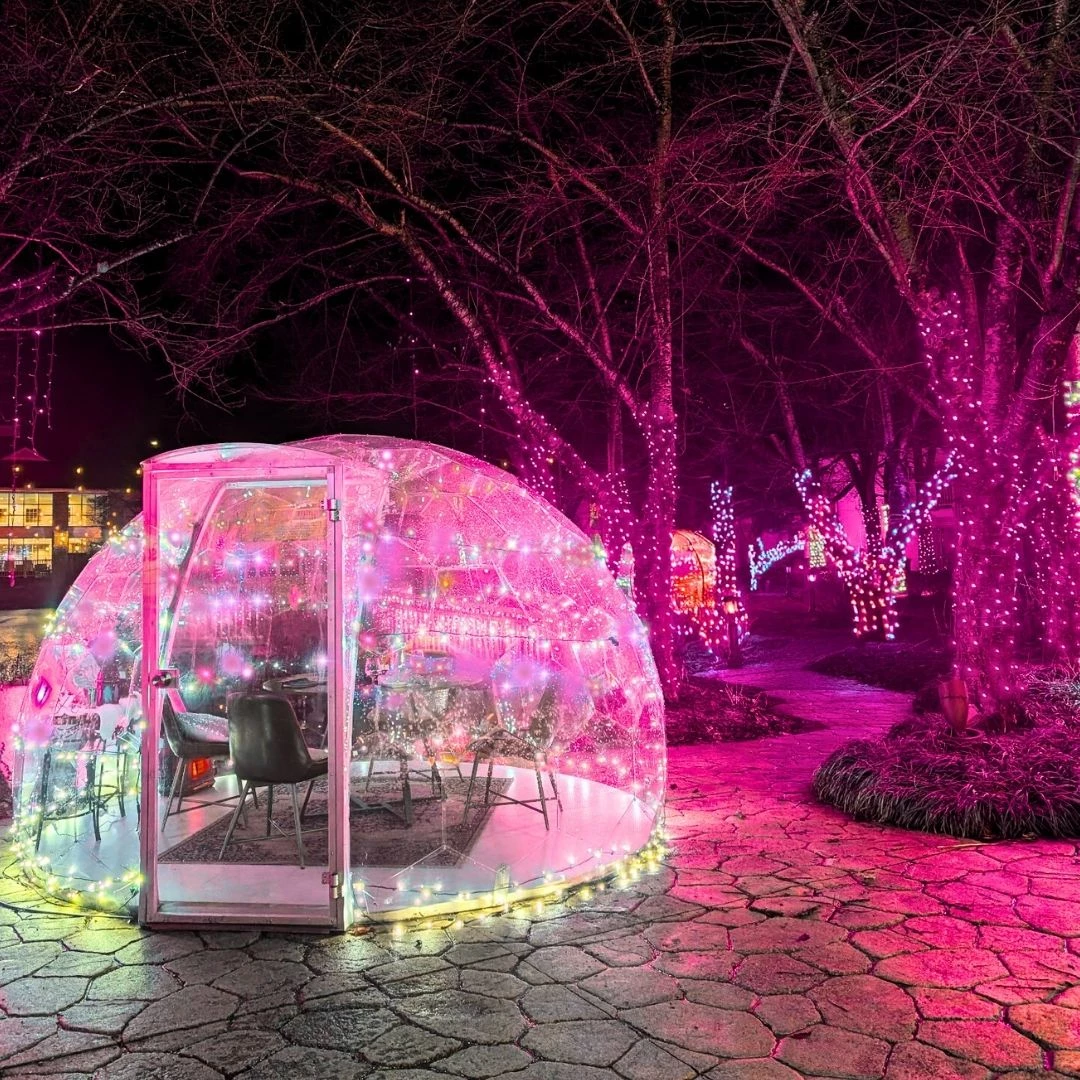 a glass dome with lights around it