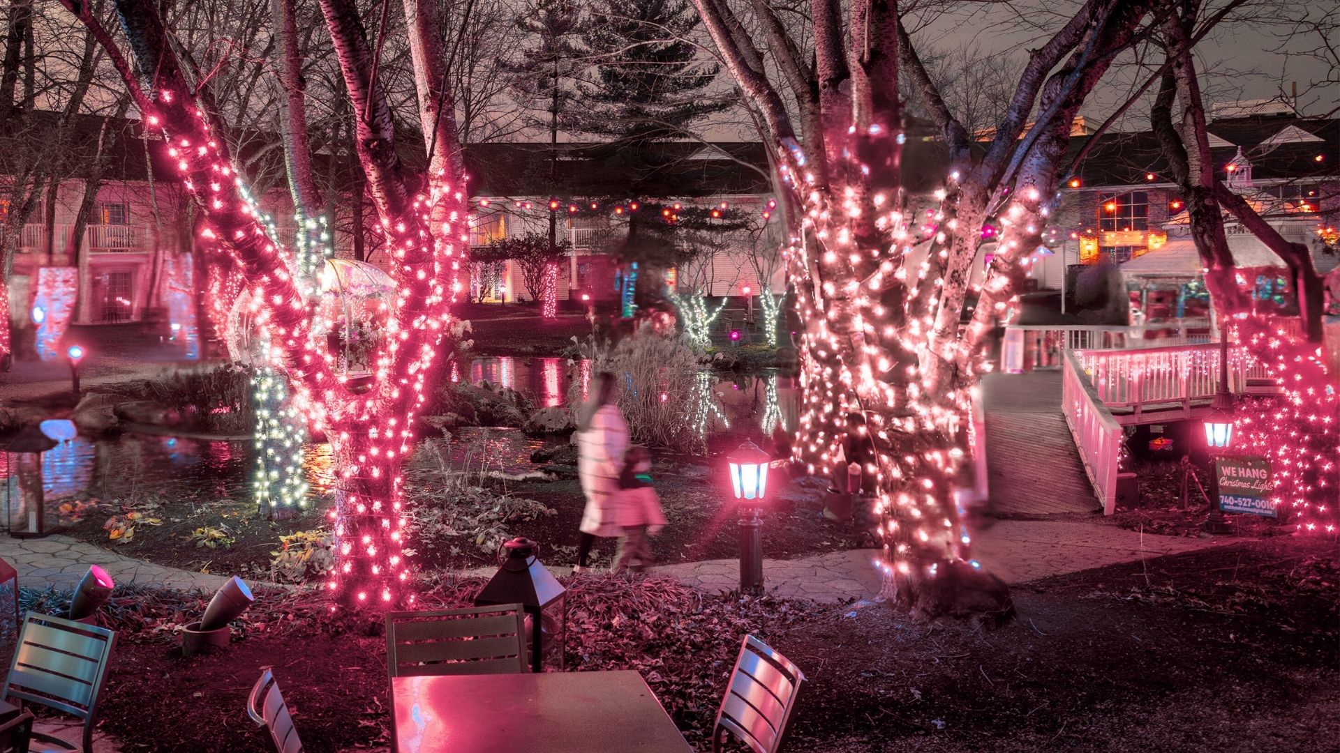 a group of people walking in a park with trees with lights