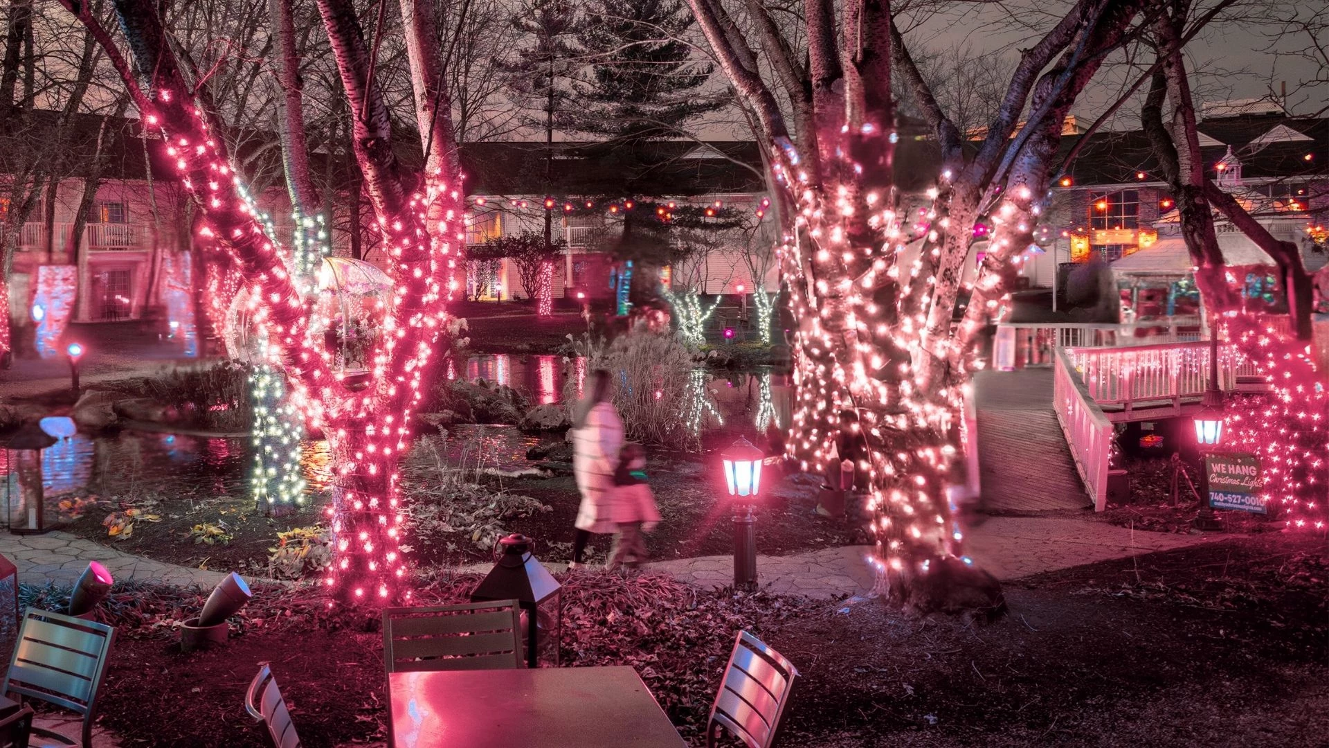 a group of people walking in a park with trees with lights