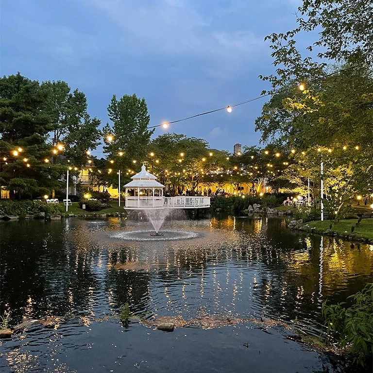 a body of water with trees and buildings around it