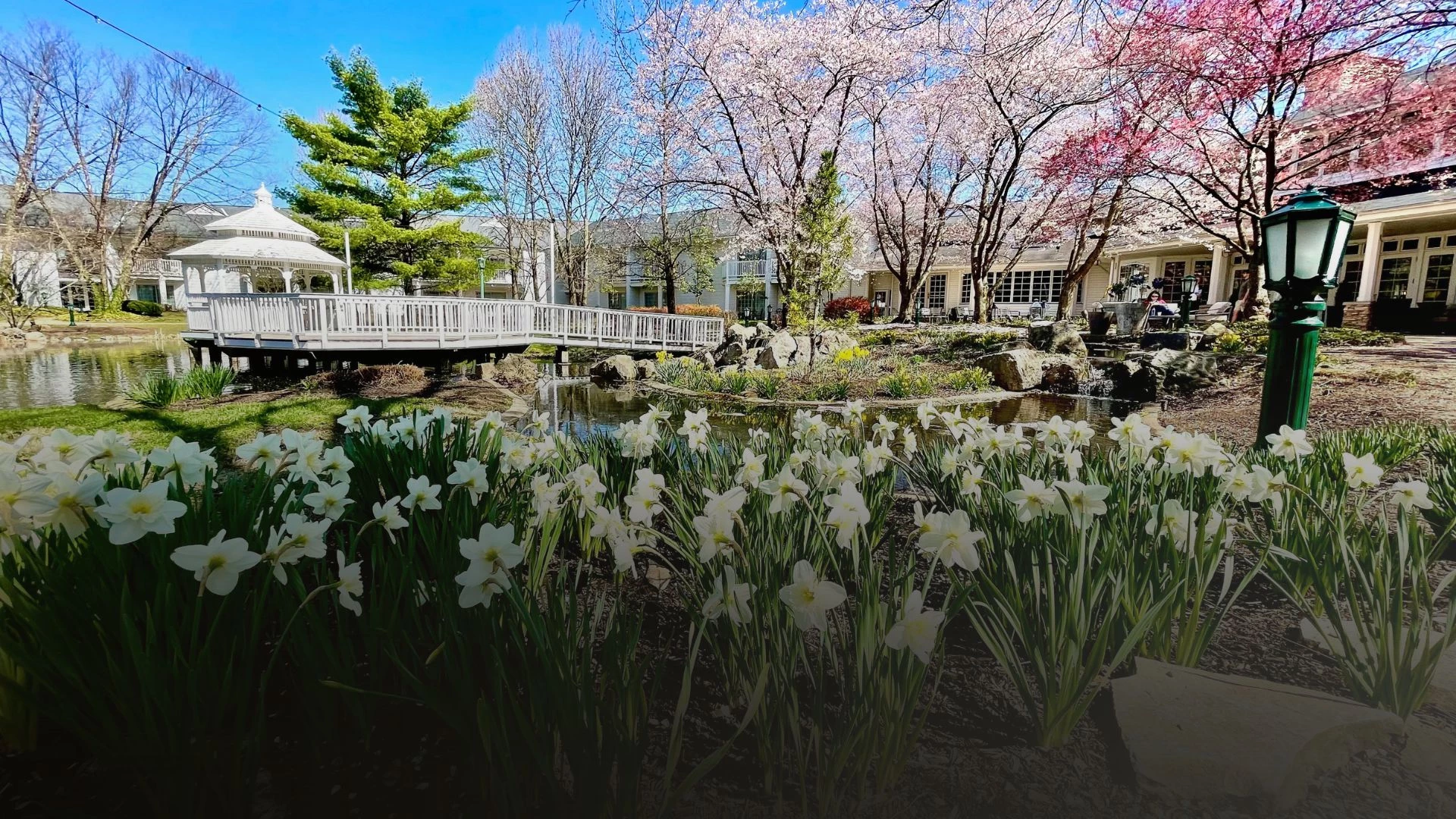 a bridge over a pond with flowers at cherry valley hotel