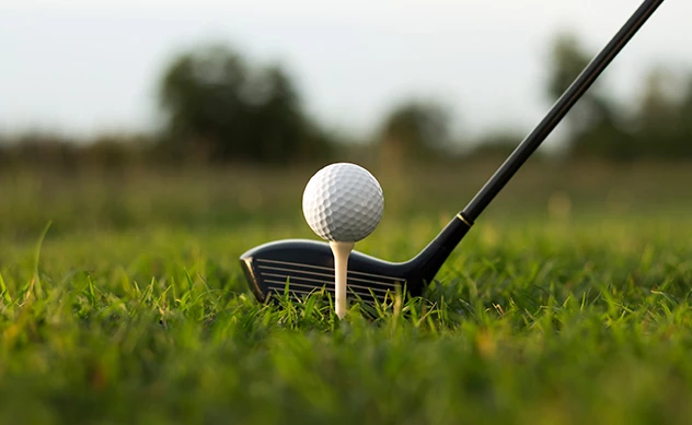a golf ball on a tee in grass