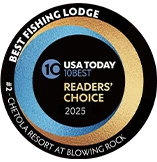 a round black and gold logo