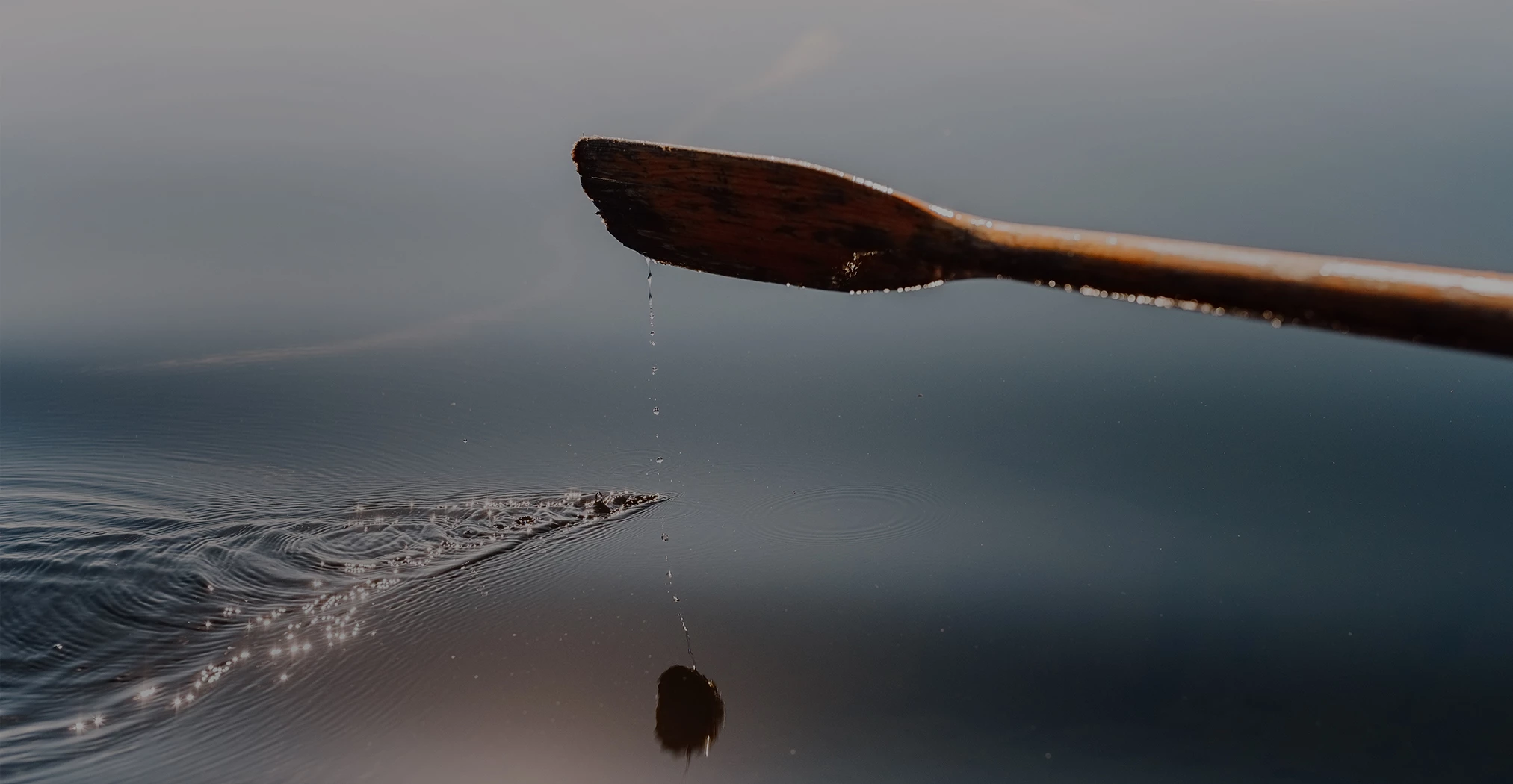 a paddle dripping from water