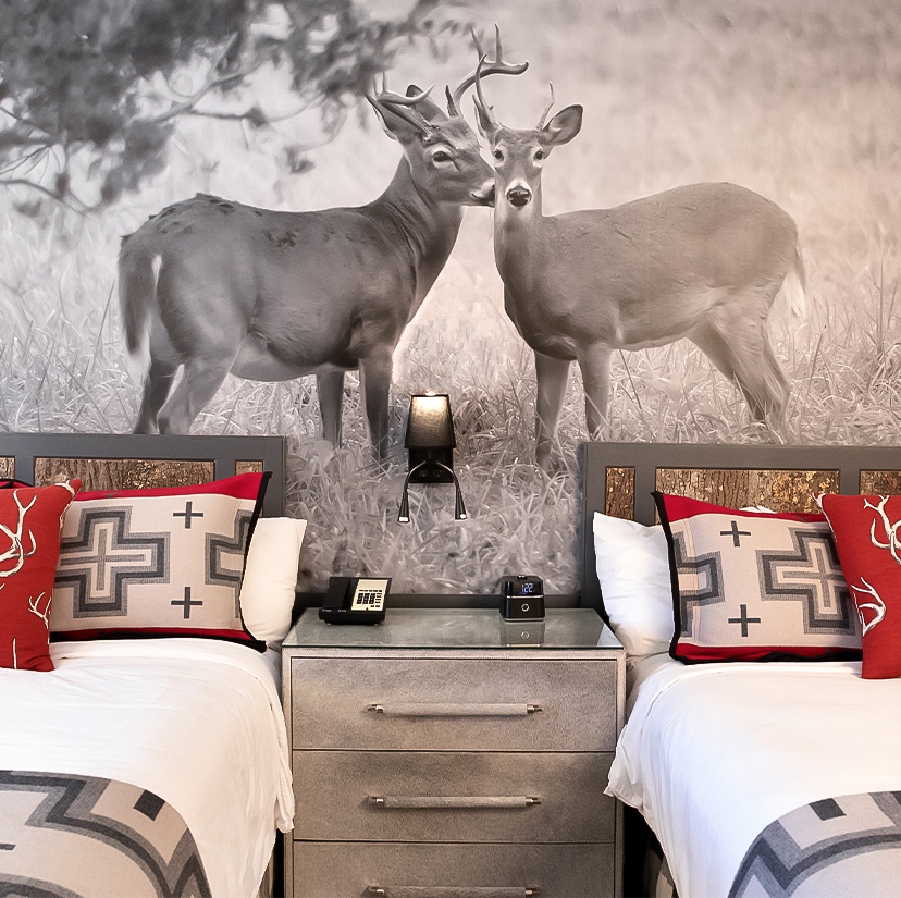 two beds with pillows and a picture of two deer